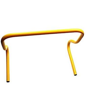 Precision Training 12" Step Training Hurdle