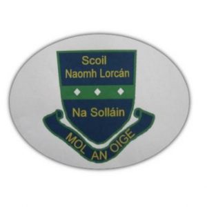 Sallins National School Naas