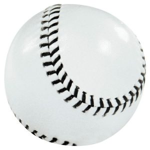 Precision Training Leather Rounders Ball