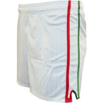 LS Pairc Gaelic Shorts - White/Red/Green