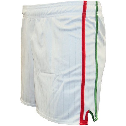 LS Pairc Gaelic Shorts - White/Red/Green