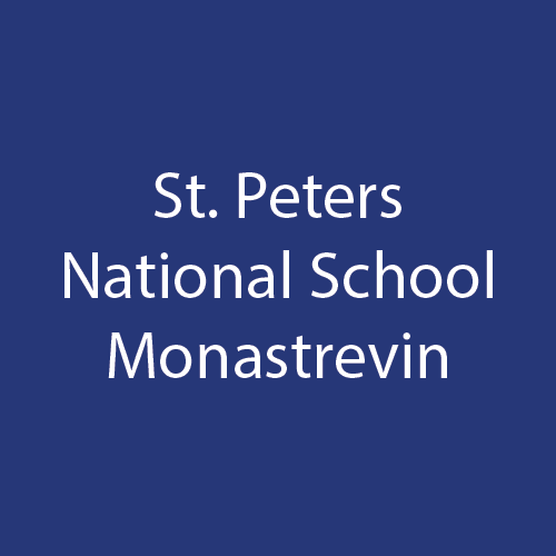 St Peter's Secondary School Monasterevin