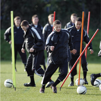 Precision Spring-Base Boundary Poles