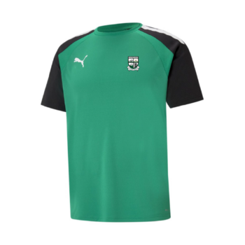 Portlaoise GAA Puma Pacer T-Shirt - Adults (ONLINE)