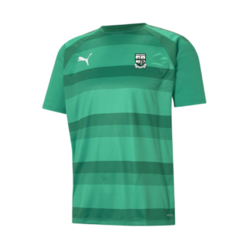 Portlaoise GAA Puma Stripe T-Shirt - Adults (ONLINE)