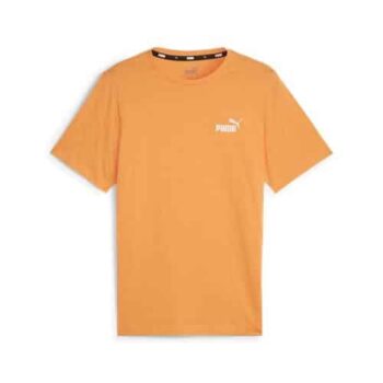 Essentials Small Logo Tee Men