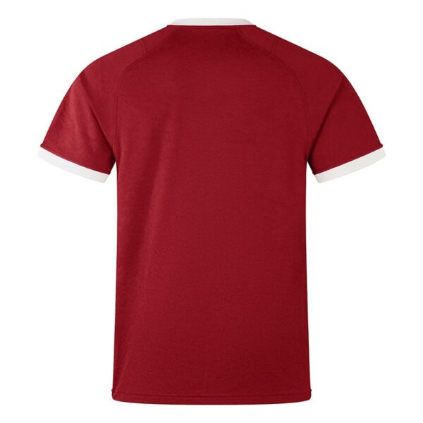 Canterbury British & Irish Lions 24/25 Replica Jersey - Image 2