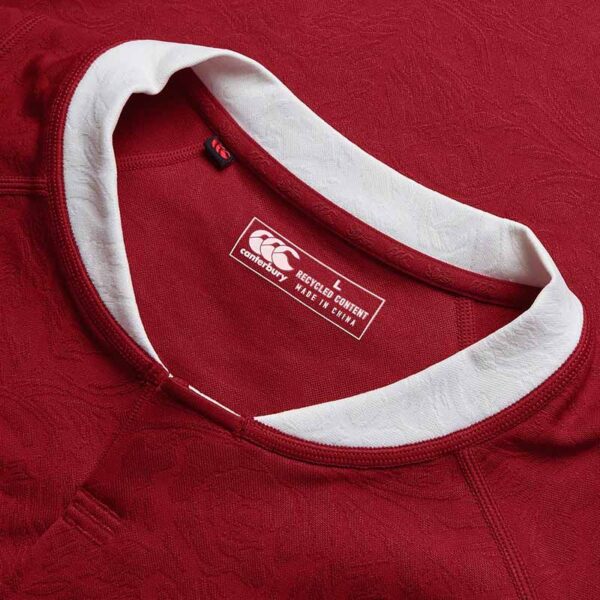 Canterbury British & Irish Lions 24/25 Replica Jersey - Image 3