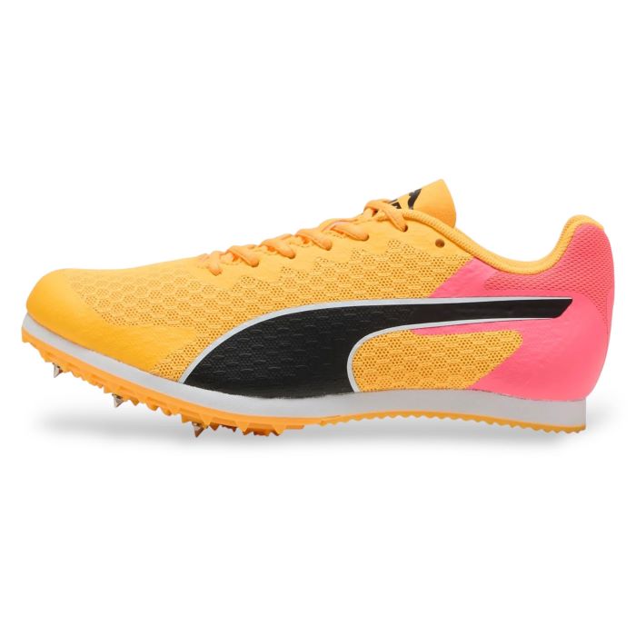 PEXXV---puma---31079601